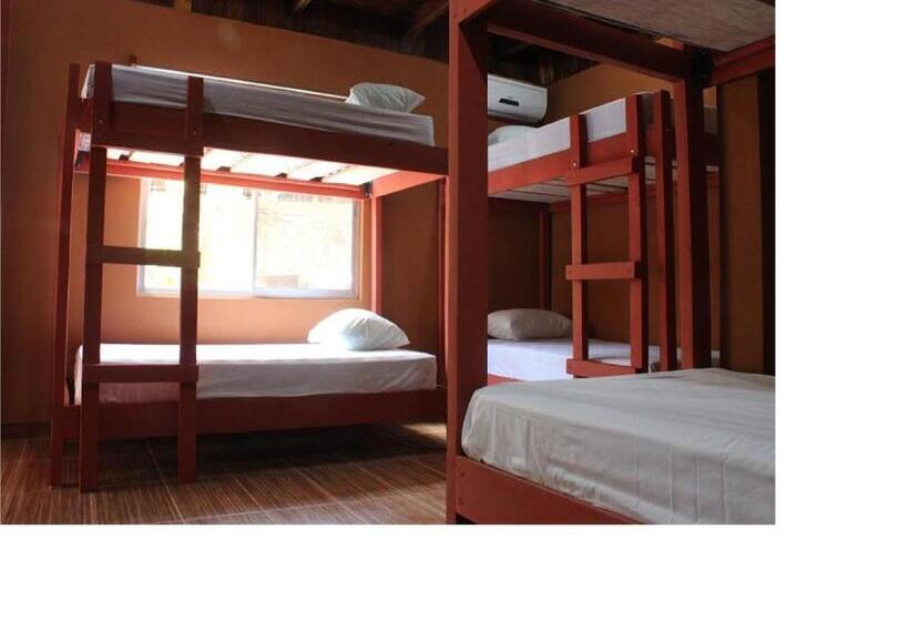 Coral Reef Surf Hostel And Camp