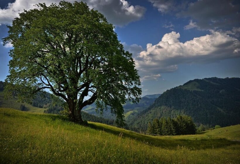 فندق Berghüs Schratt   Einfach Anders   Ihr Vegetarisches Und Veganes Bio