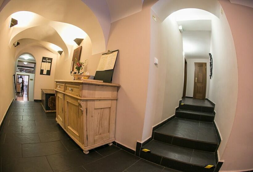 هتل Tanzberg Mikulov