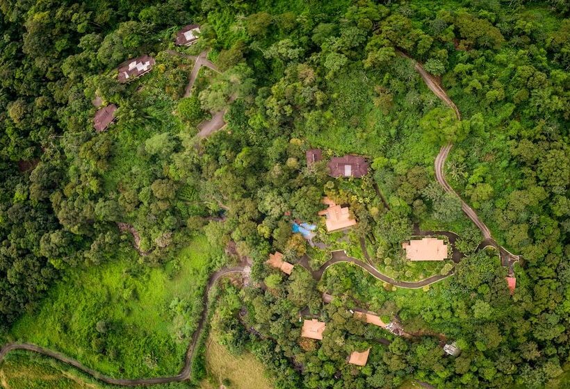 فندق Lost Iguana Resort And Spa