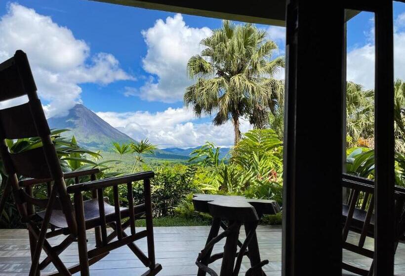 فندق Lost Iguana Resort And Spa