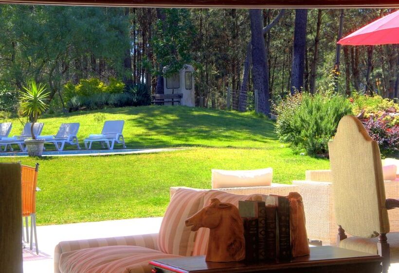 هتل Neike Boutique