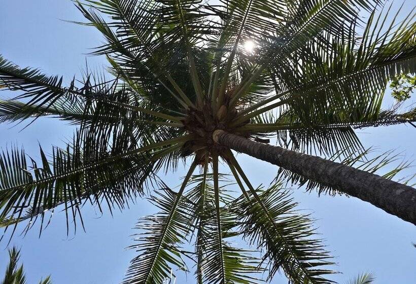 هتل Pochote Grande