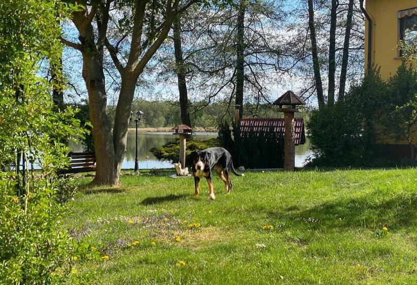 בית מלון כפרי Seehof Netzen