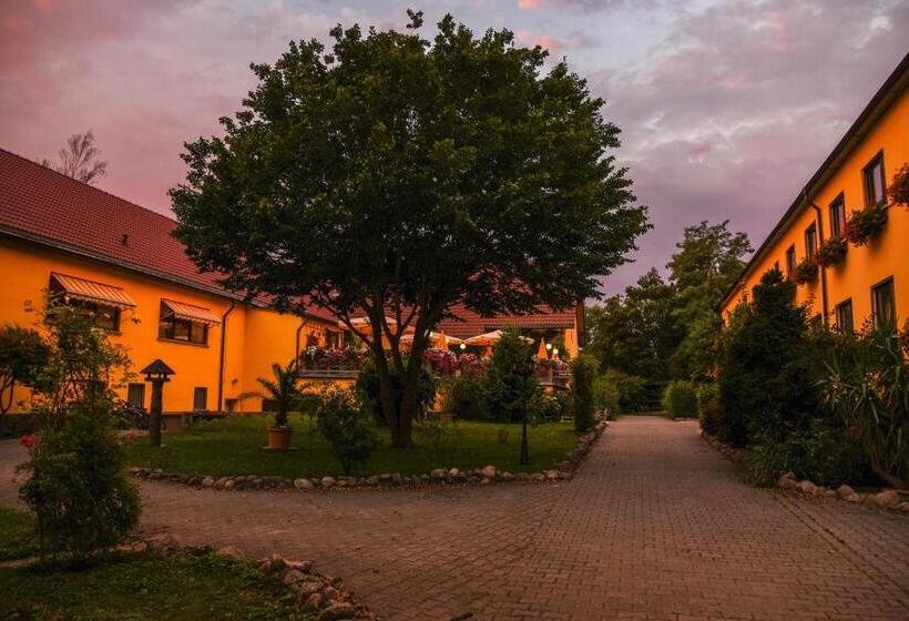 בית מלון כפרי Seehof Netzen