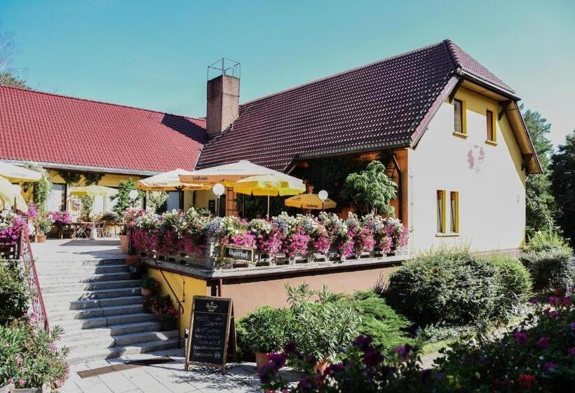 בית מלון כפרי Seehof Netzen