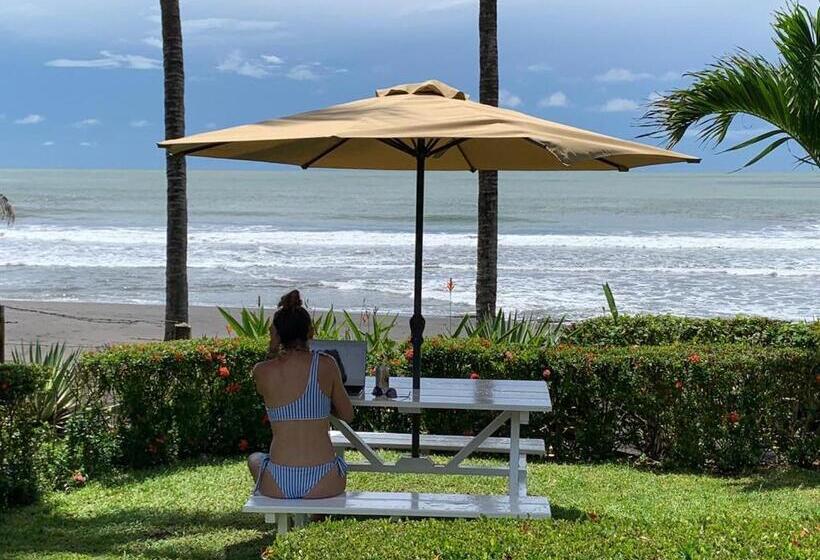 فندق The Backyard Beachfront