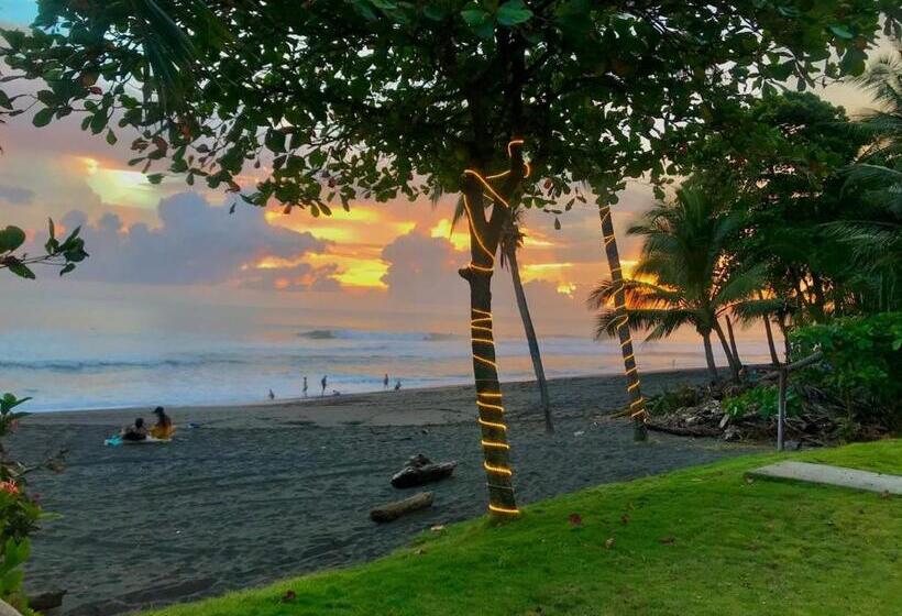 فندق The Backyard Beachfront