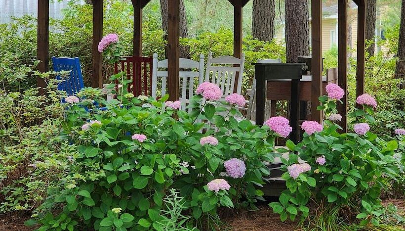 בית מלון כפרי The White House On Freedom Way