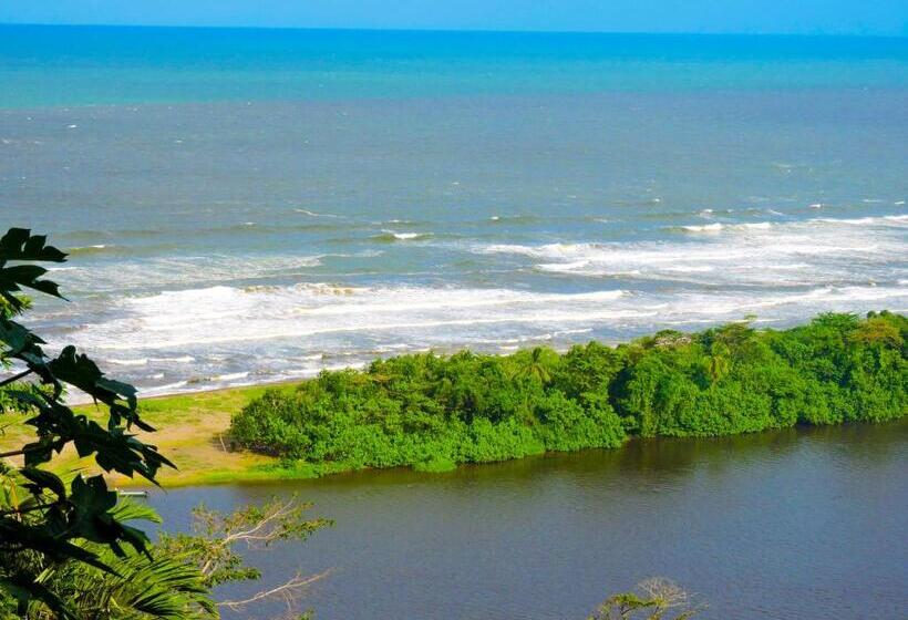 هتل Tortuguero Beachfront