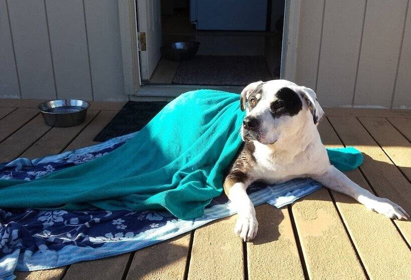 Sea Haven Motel & Guest House