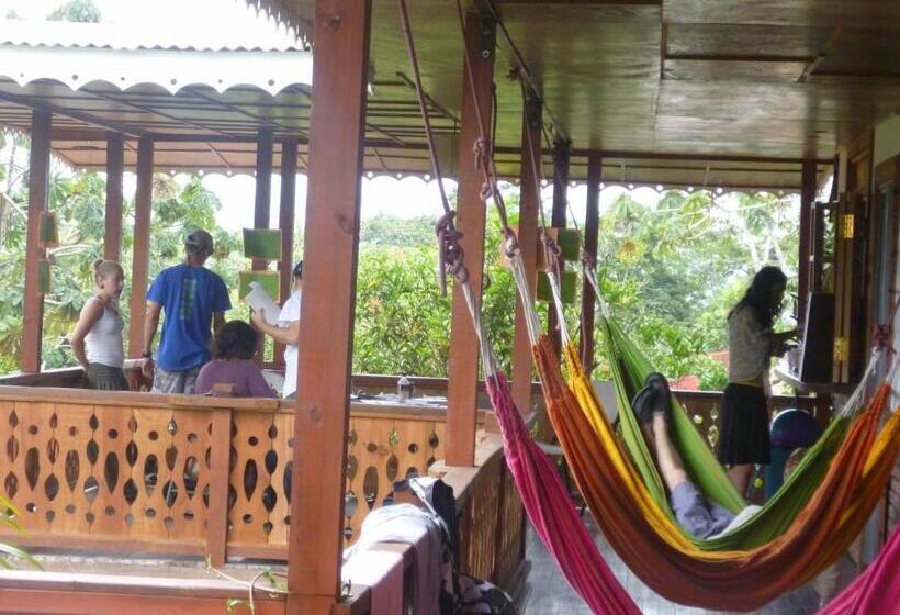 ユースホステル Spanish By The River   Turrialba