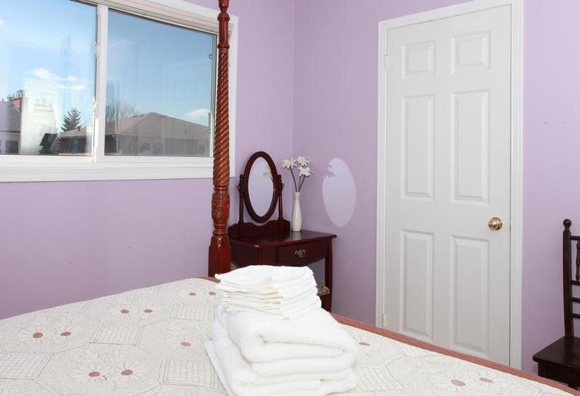 בית מלון כפרי Amanda's Bed And Breakfast