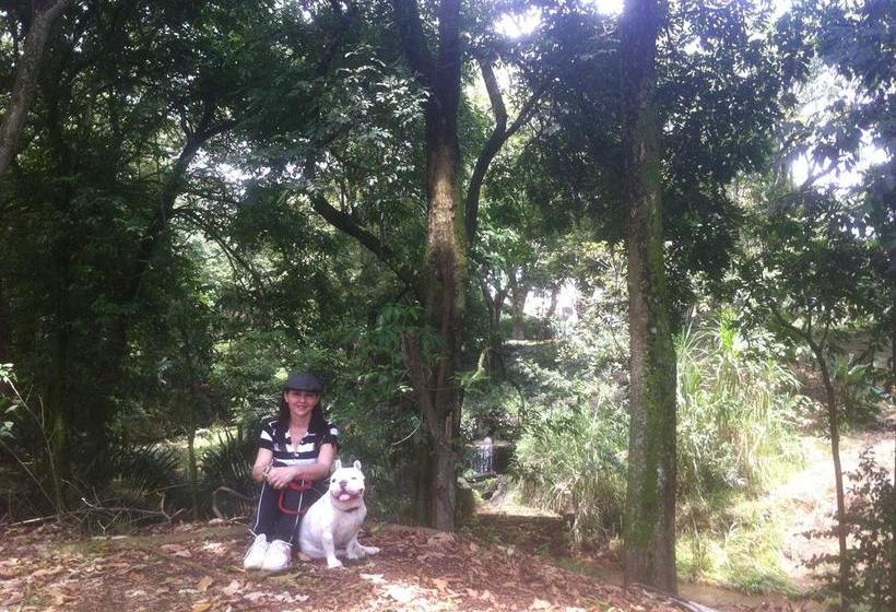 هتل Boutique Casa Lomanti