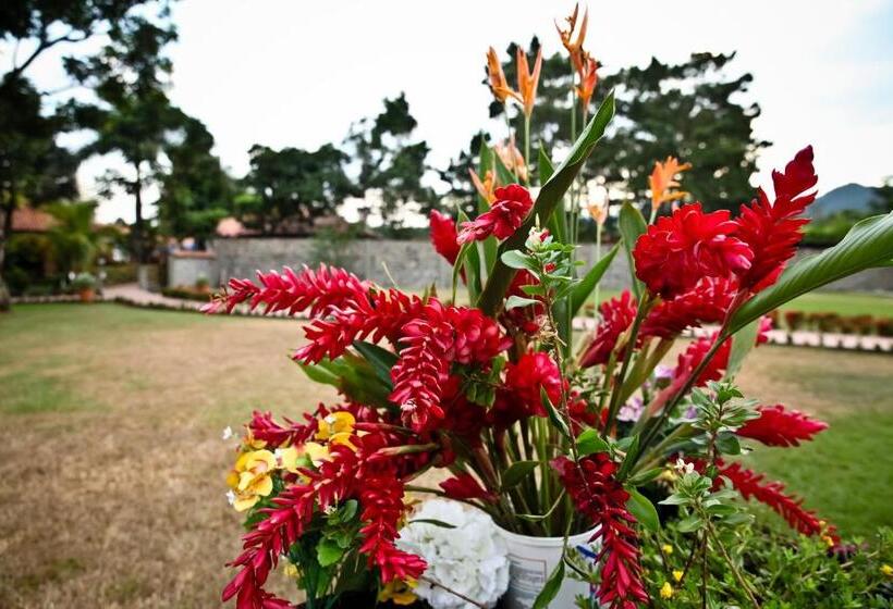 هتل Boutique Villas De San Sebastián