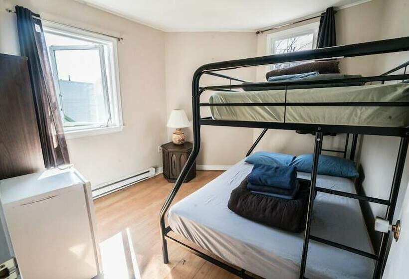 Отель City Hostel Hi St.john S