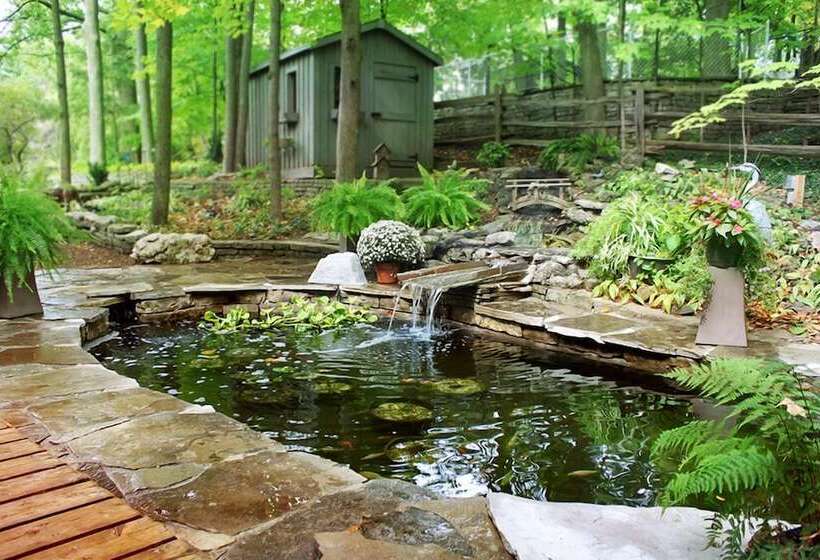 هتل Forest Hill Bed And Breakfast