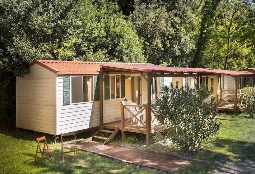 בית מלון כפרי Mobile Homes