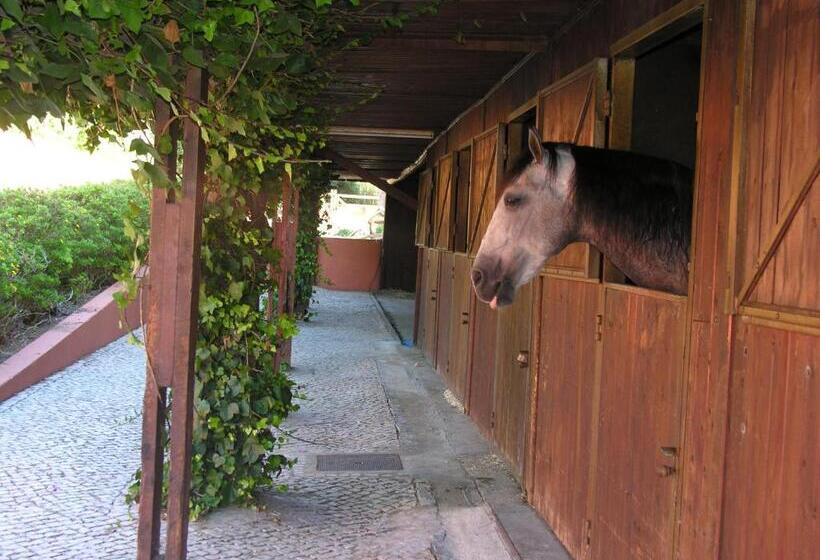 فندق Quinta Tagus