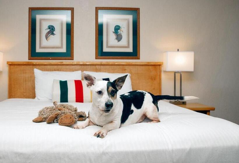 Timbers Motel