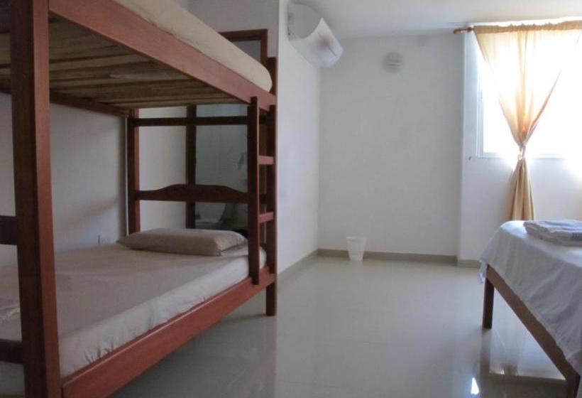 هاستل Casa Luna