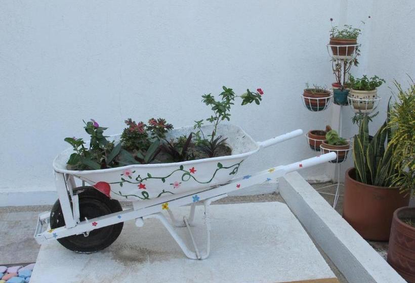 هاستل Casa Luna