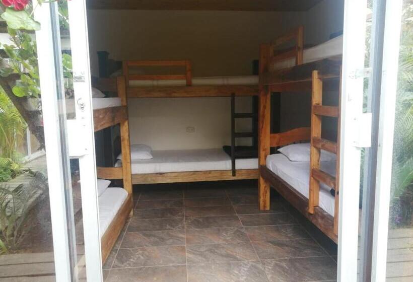 هاستل Hostal Hilltop Salento