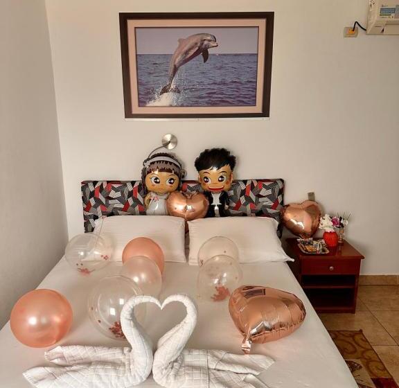 هاستل Stefany's Lodging