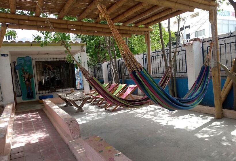 هاستل Taganga Paradise Hostal Diving