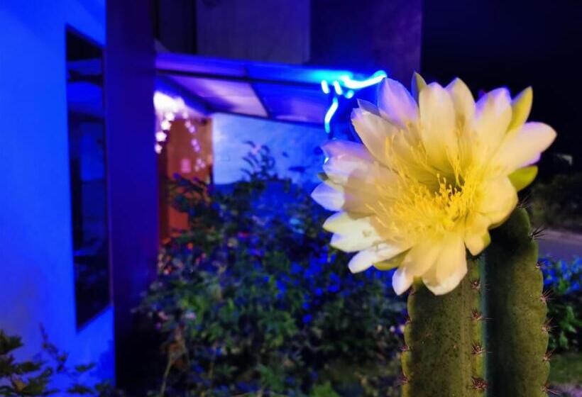 هتل La Casa De Mi Sub