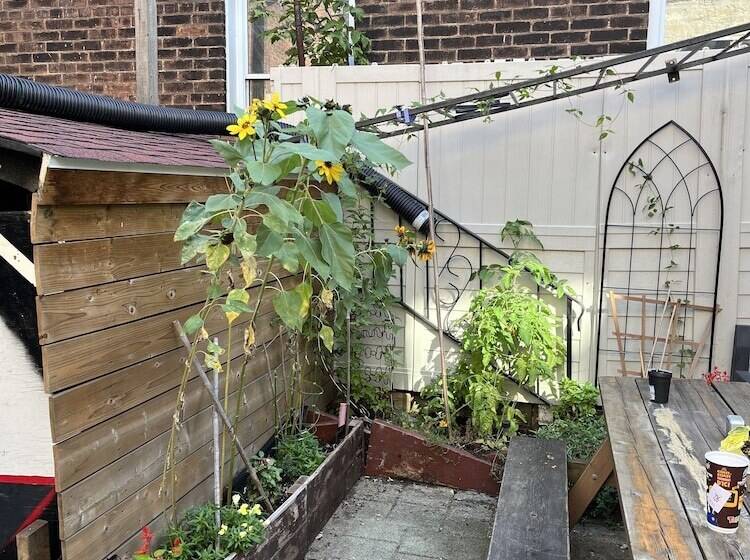 هتل Pring Guesthouse