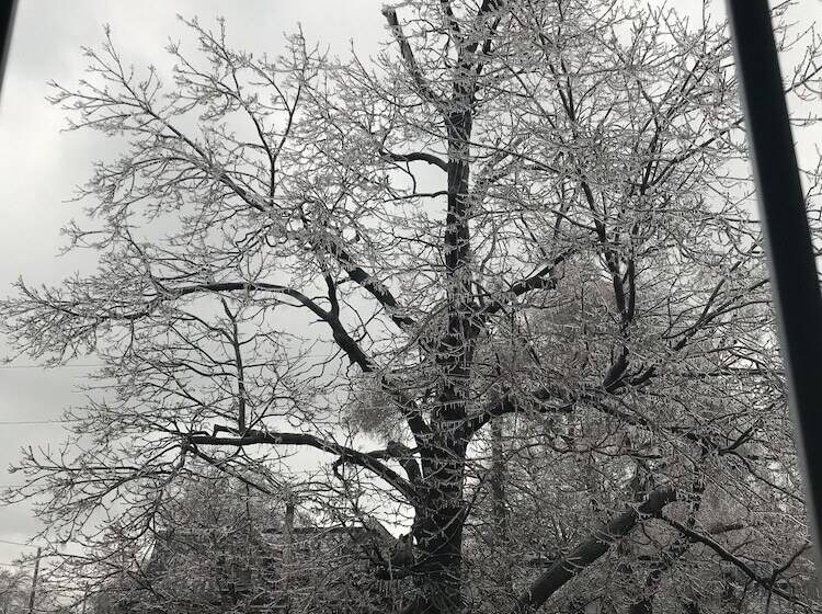 هتل Pring Guesthouse