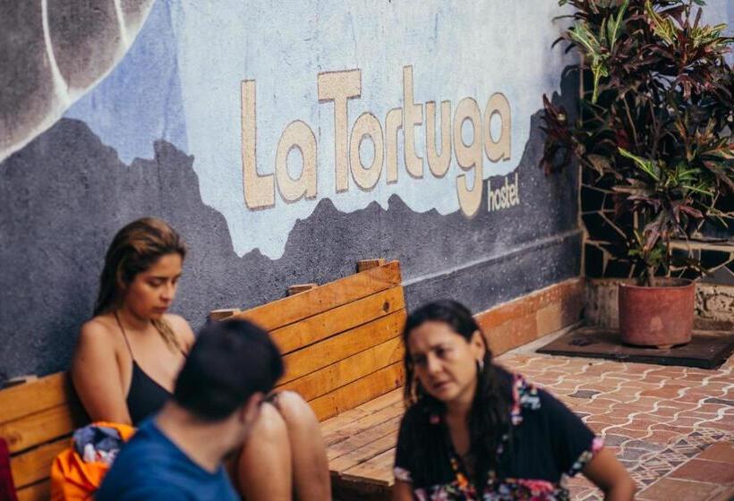 La Tortuga Hostel
