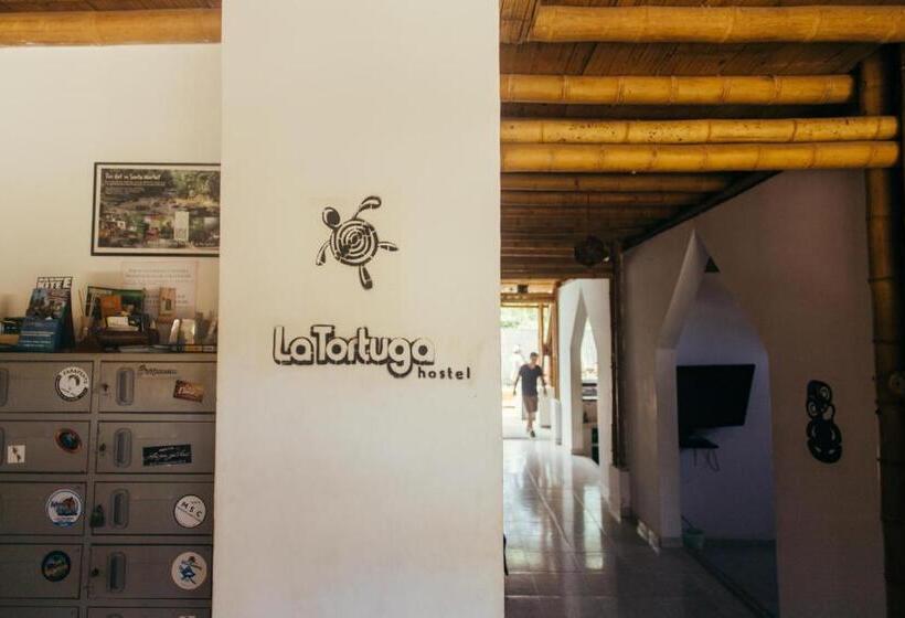 La Tortuga Hostel