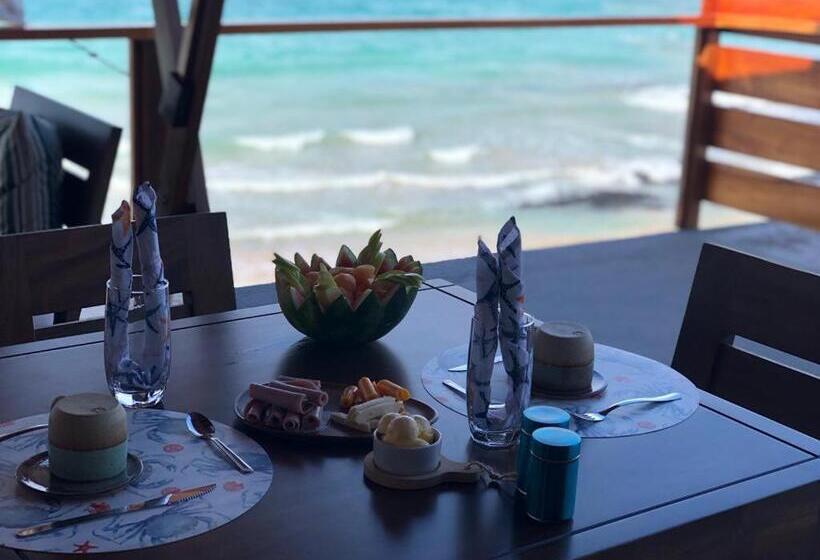 تختخواب و صبحانه Cormorant Beach House