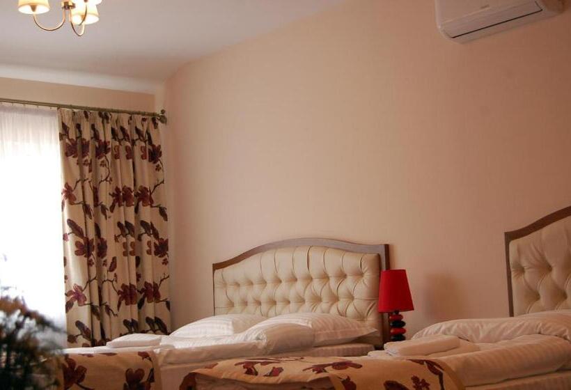 Hostel Paltinis
