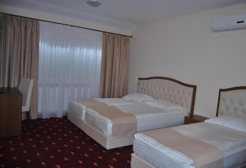 Hostel Paltinis