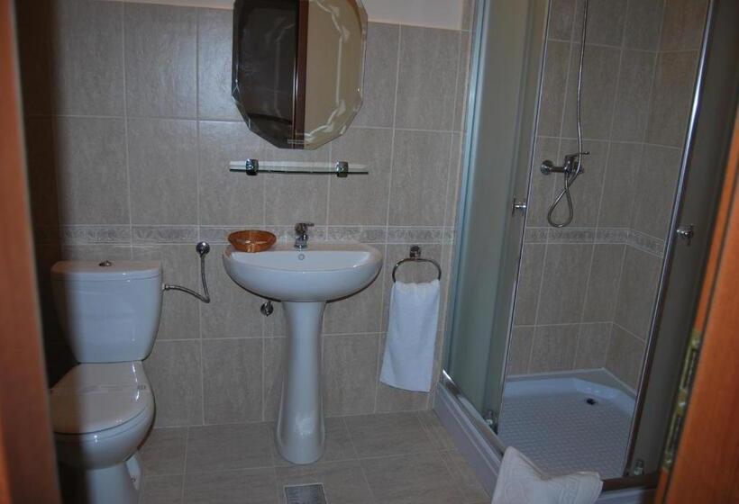 Hostel Paltinis