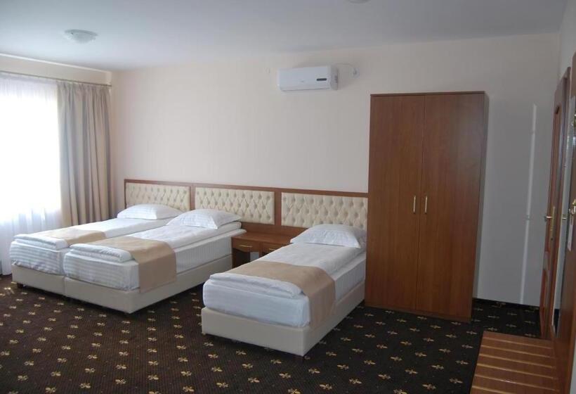 Hostel Paltinis
