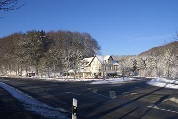 هتل Elfenberg