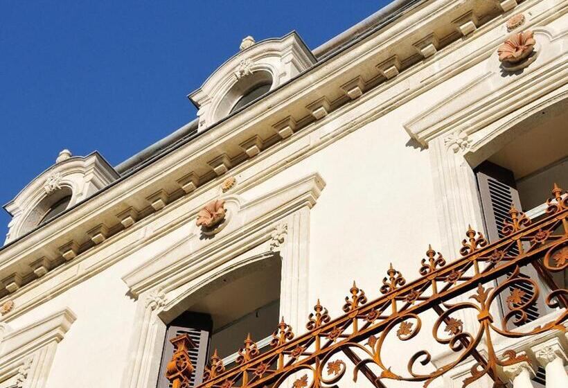 هتل L Hôtel Particulier Beziers