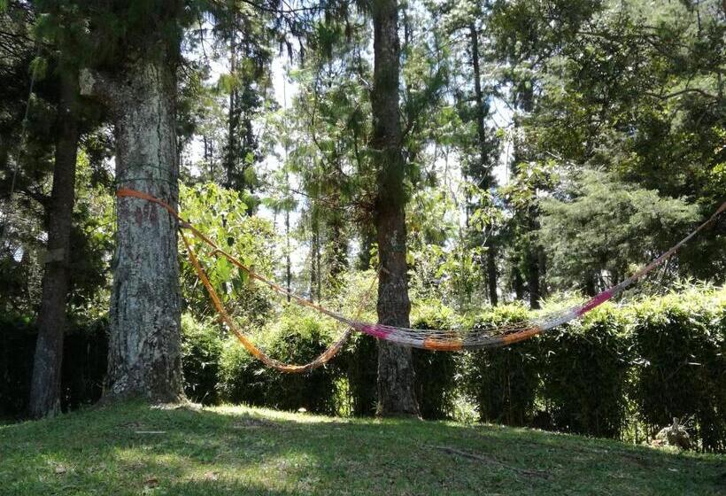 Al Bosque Hostel & Glamping