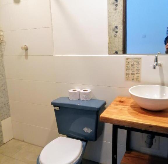 هاستل Bona Vida