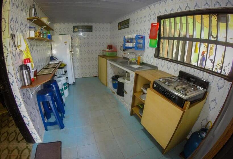 تختخواب و صبحانه Hostel Casa De Las Palmas Tours