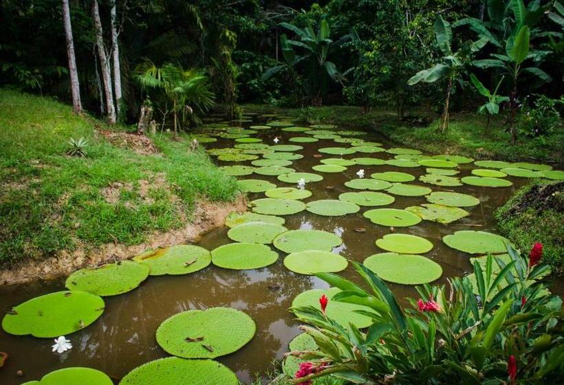 تختخواب و صبحانه Hostel Casa De Las Palmas Tours