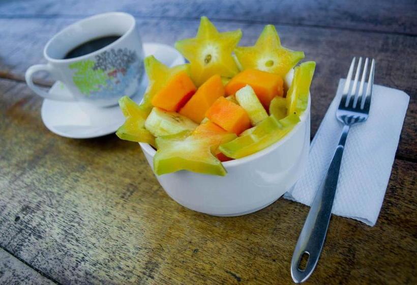 تختخواب و صبحانه Hostel Casa De Las Palmas Tours