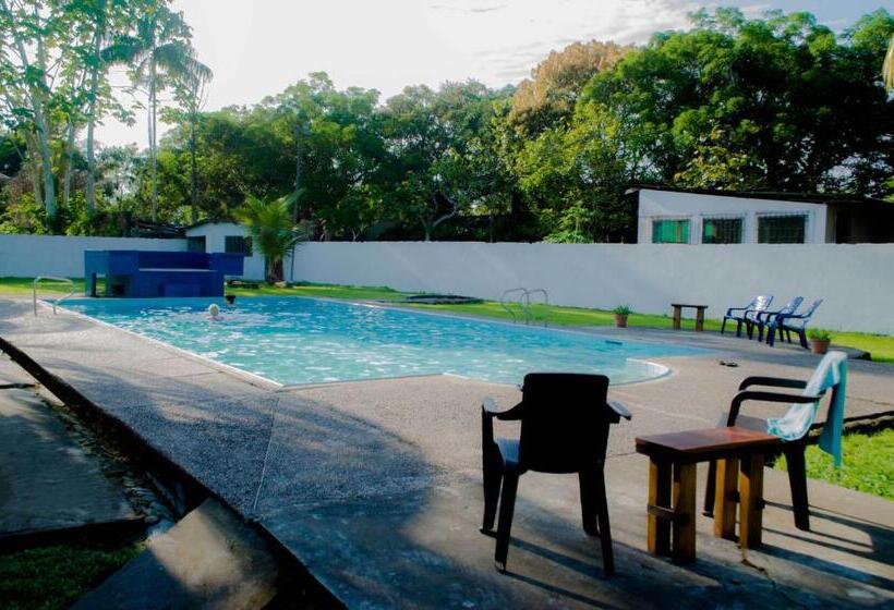 تختخواب و صبحانه Hostel Casa De Las Palmas Tours