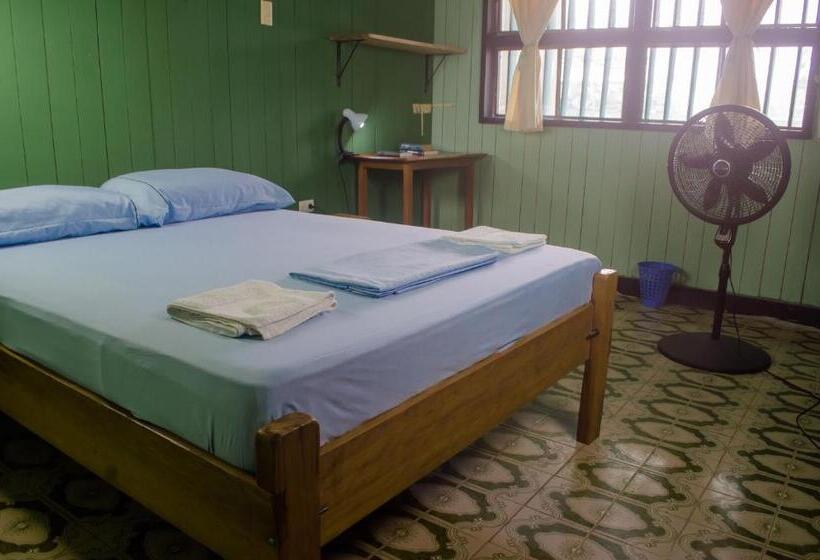 تختخواب و صبحانه Hostel Casa De Las Palmas Tours