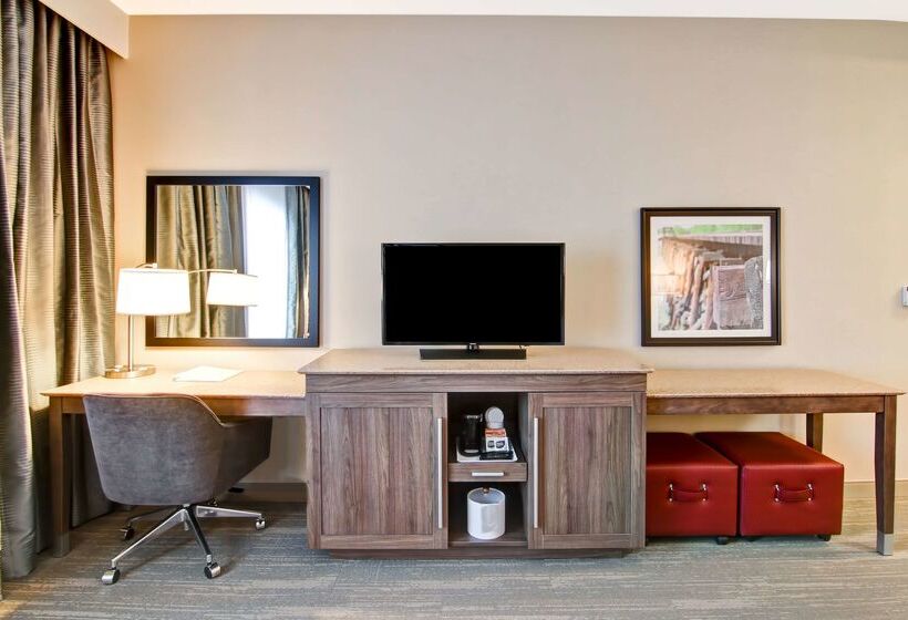 בית מלון כפרי Hampton Inn & Suites By Hilton Grande Prairie
