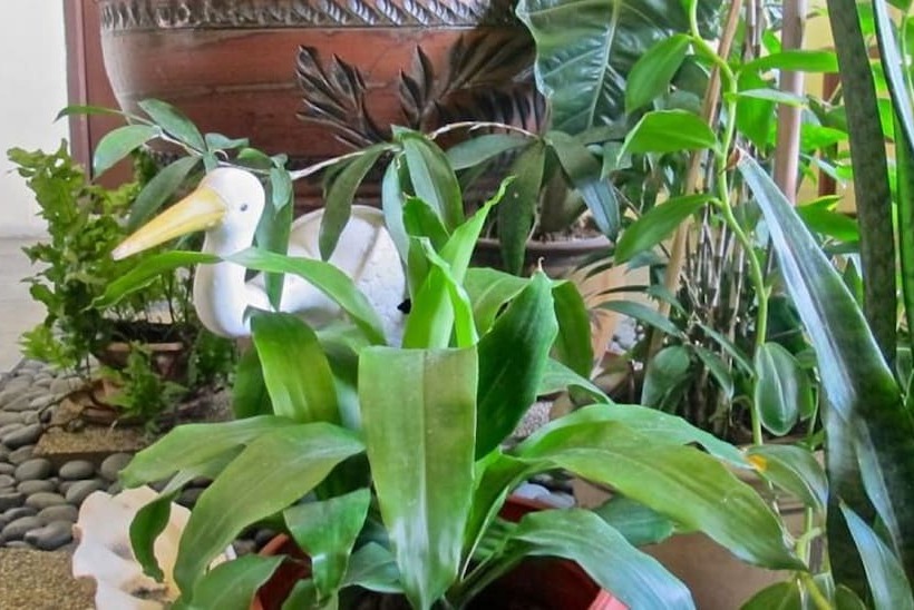 Akinabalu Youth Hostel